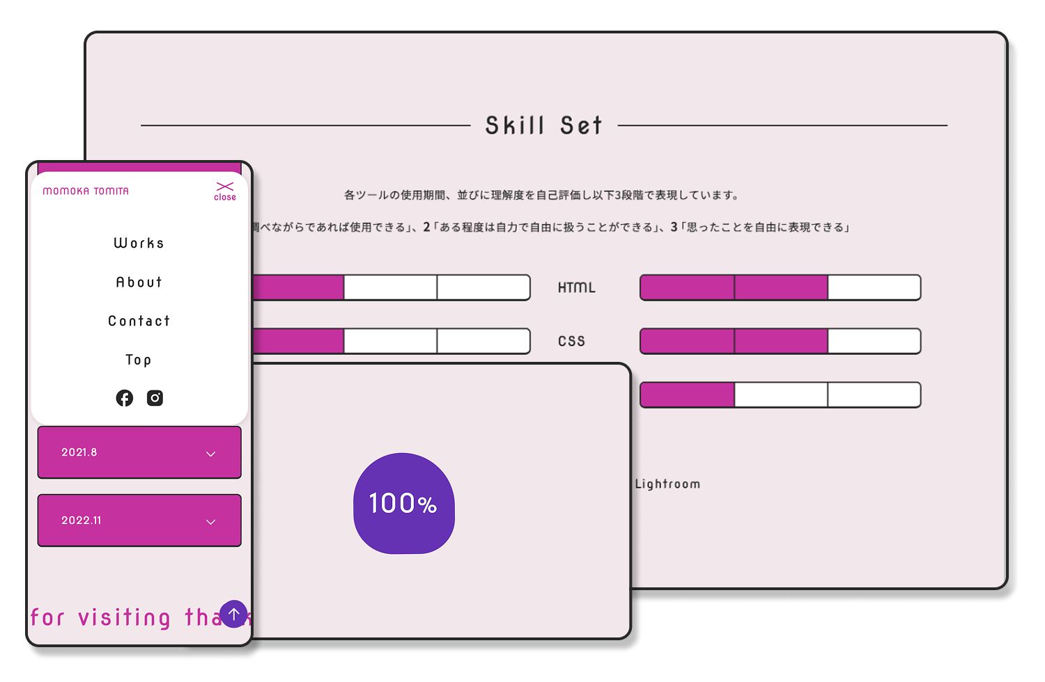 スキルセットと経歴を表現した項目の画像
